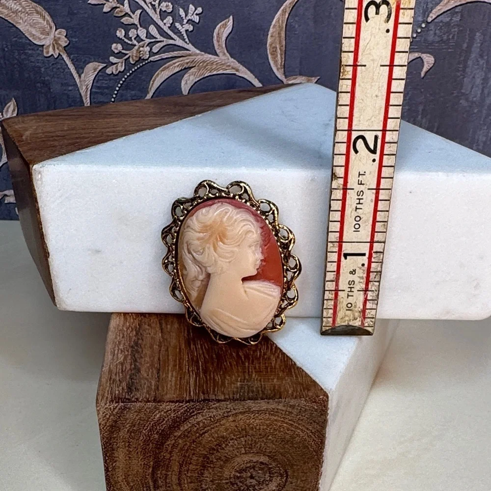 Vintage Cameo Type Costume Pin Brooch in Goldtone Frame Setting Lot B38